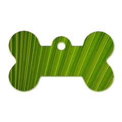 Green Leaf Pattern Plant Dog Tag Bone (one Side) by Sapixe