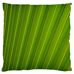 Green Leaf Pattern Plant Standard Flano Cushion Case (two Sides) by Sapixe