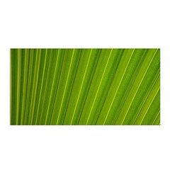 Green Leaf Pattern Plant Satin Wrap