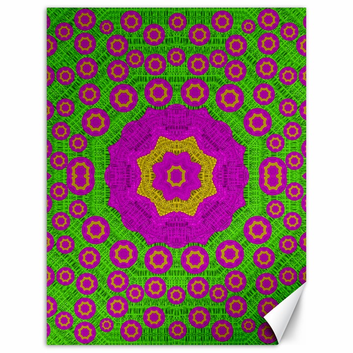 Decorative Festive Bohemic Ornate Style Canvas 12  x 16  