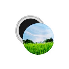 Green Landscape, Green Grass Close Up Blue Sky And White Clouds 1.75  Magnets