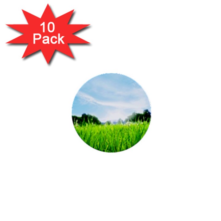 Green Landscape, Green Grass Close Up Blue Sky And White Clouds 1  Mini Buttons (10 pack) 