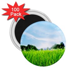 Green Landscape, Green Grass Close Up Blue Sky And White Clouds 2.25  Magnets (100 pack) 