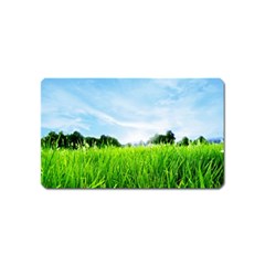 Green Landscape, Green Grass Close Up Blue Sky And White Clouds Magnet (Name Card)