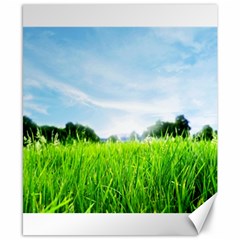 Green Landscape, Green Grass Close Up Blue Sky And White Clouds Canvas 8  x 10 