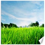 Green Landscape, Green Grass Close Up Blue Sky And White Clouds Canvas 12  x 12   11.4 x11.56  Canvas - 1