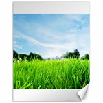 Green Landscape, Green Grass Close Up Blue Sky And White Clouds Canvas 18  x 24   17.8 x23.08  Canvas - 1