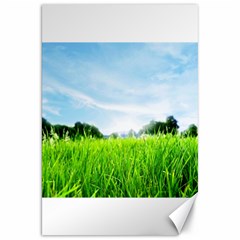 Green Landscape, Green Grass Close Up Blue Sky And White Clouds Canvas 20  x 30  