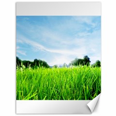 Green Landscape, Green Grass Close Up Blue Sky And White Clouds Canvas 36  x 48  