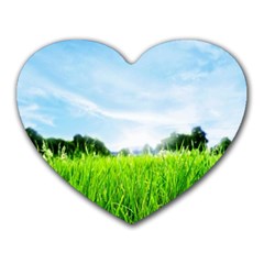 Green Landscape, Green Grass Close Up Blue Sky And White Clouds Heart Mousepads