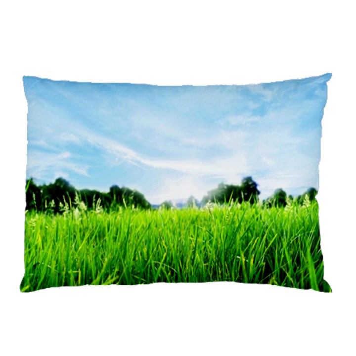 Green Landscape, Green Grass Close Up Blue Sky And White Clouds Pillow Case