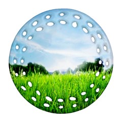 Green Landscape, Green Grass Close Up Blue Sky And White Clouds Ornament (Round Filigree)