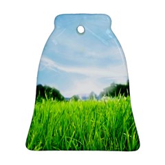 Green Landscape, Green Grass Close Up Blue Sky And White Clouds Ornament (Bell)