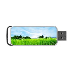 Green Landscape, Green Grass Close Up Blue Sky And White Clouds Portable USB Flash (One Side)