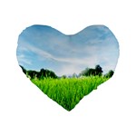 Green Landscape, Green Grass Close Up Blue Sky And White Clouds Standard 16  Premium Heart Shape Cushions Front