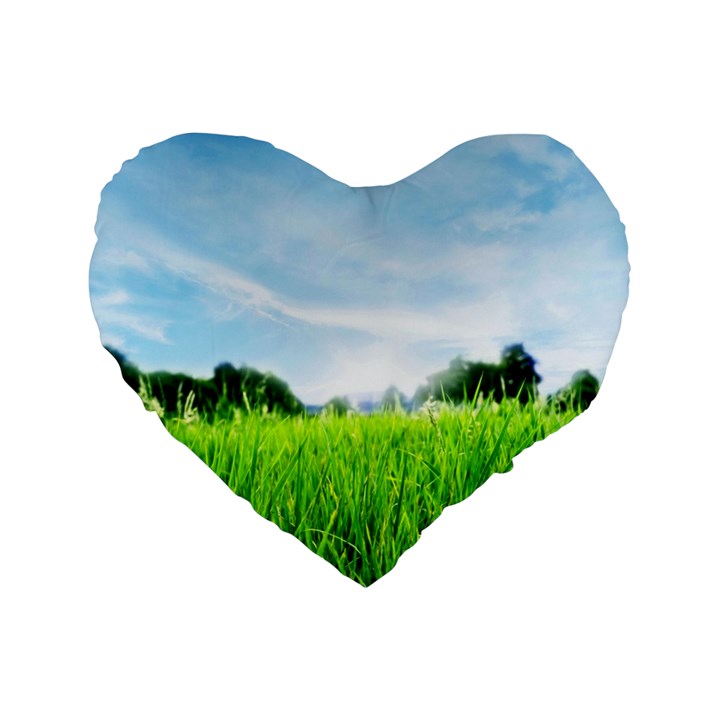 Green Landscape, Green Grass Close Up Blue Sky And White Clouds Standard 16  Premium Heart Shape Cushions