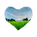 Green Landscape, Green Grass Close Up Blue Sky And White Clouds Standard 16  Premium Heart Shape Cushions Back