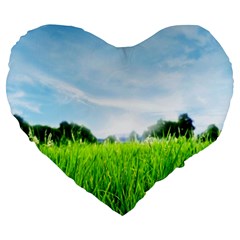 Green Landscape, Green Grass Close Up Blue Sky And White Clouds Large 19  Premium Heart Shape Cushions