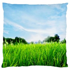 Green Landscape, Green Grass Close Up Blue Sky And White Clouds Large Flano Cushion Case (Two Sides)