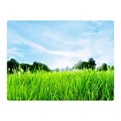 Green Landscape, Green Grass Close Up Blue Sky And White Clouds Double Sided Flano Blanket (Mini) 