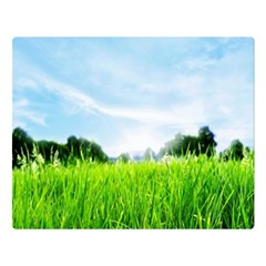 Green Landscape, Green Grass Close Up Blue Sky And White Clouds Double Sided Flano Blanket (Large) 