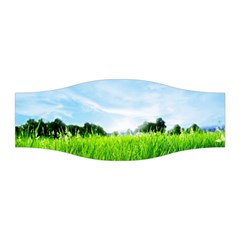 Green Landscape, Green Grass Close Up Blue Sky And White Clouds Stretchable Headband by Sapixe