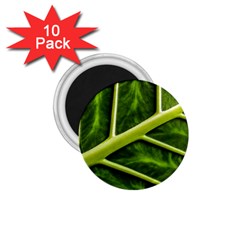 Leaf Dark Green 1 75  Magnets (10 Pack)  by Sapixe