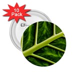 Leaf Dark Green 2.25  Buttons (10 pack)  Front