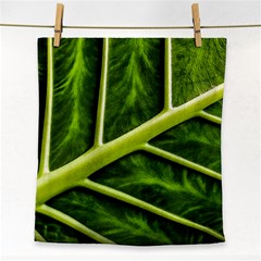 Leaf Dark Green Face Towel by Sapixe