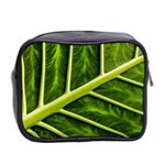 Leaf Dark Green Mini Toiletries Bag 2-Side Back