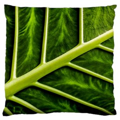 Leaf Dark Green Large Flano Cushion Case (two Sides) by Sapixe