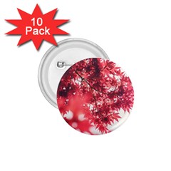 Maple Leaves Red Autumn Fall 1 75  Buttons (10 Pack) by Sapixe