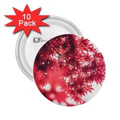 Maple Leaves Red Autumn Fall 2 25  Buttons (10 Pack)  by Sapixe