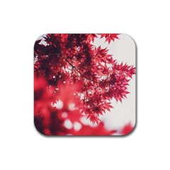 Maple Leaves Red Autumn Fall Rubber Coaster (square)  by Sapixe