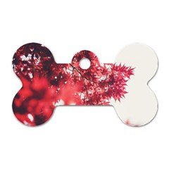 Maple Leaves Red Autumn Fall Dog Tag Bone (two Sides) by Sapixe