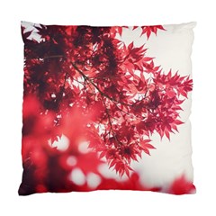 Maple Leaves Red Autumn Fall Standard Cushion Case (two Sides) by Sapixe