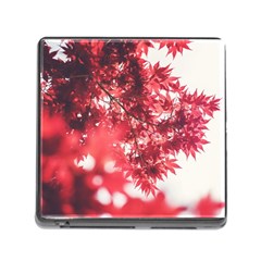 Maple Leaves Red Autumn Fall Memory Card Reader (square) by Sapixe