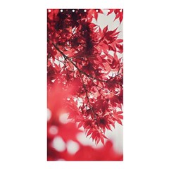 Maple Leaves Red Autumn Fall Shower Curtain 36  X 72  (stall)  by Sapixe