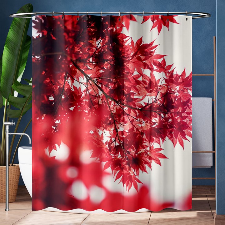 Maple Leaves Red Autumn Fall Shower Curtain 60  x 72  (Medium) 