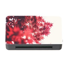 Maple Leaves Red Autumn Fall Memory Card Reader With Cf by Sapixe