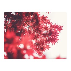 Maple Leaves Red Autumn Fall Double Sided Flano Blanket (mini)  by Sapixe