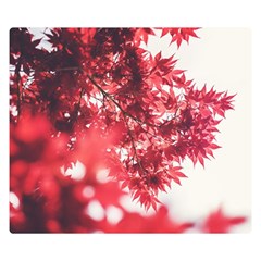 Maple Leaves Red Autumn Fall Double Sided Flano Blanket (small)  by Sapixe