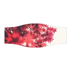 Maple Leaves Red Autumn Fall Stretchable Headband by Sapixe