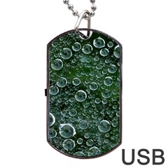 Morning Dew Dog Tag Usb Flash (one Side) by Sapixe