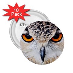 Owl Face 2 25  Buttons (10 Pack)  by Sapixe