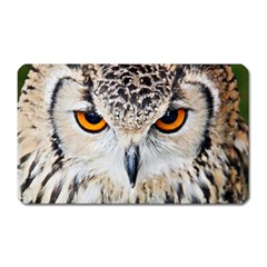 Owl Face Magnet (rectangular) by Sapixe