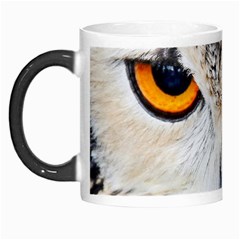 Owl Face Morph Mugs