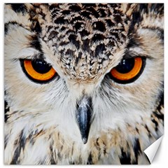 Owl Face Canvas 12  X 12   by Sapixe