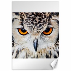 Owl Face Canvas 12  X 18   by Sapixe