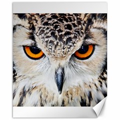 Owl Face Canvas 16  X 20   by Sapixe